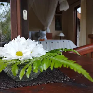 Bed & Breakfast Umah, Ubud (Bali)